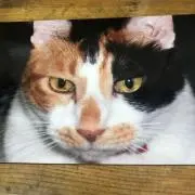 村この画像
