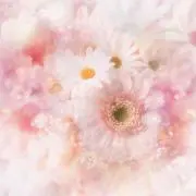 パールの画像