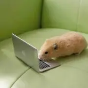 ぽこ