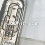 せらの画像