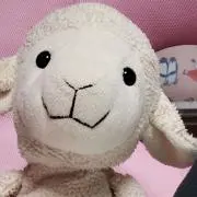 ぱんちゃんの画像