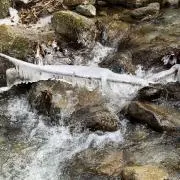 昇