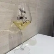 匡子の画像