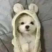 るん