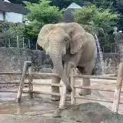 (fr.)の画像