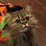 Keke