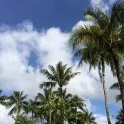 ぱぽの画像