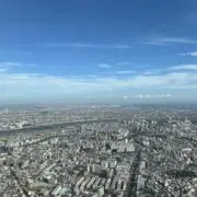 たたたの画像