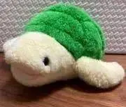 kame⭐️の画像