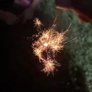 miraの画像