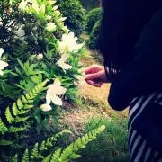 ありすの画像