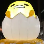 わんこ。の画像