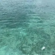 MNMの画像