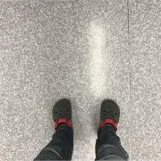 スズキ釣り隊