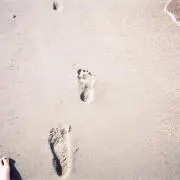 断捨離さん