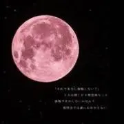 nanmo