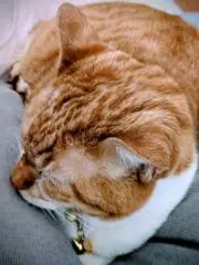 りょう♪の画像