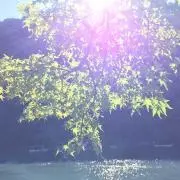 ぴー【プロフ必読】の画像