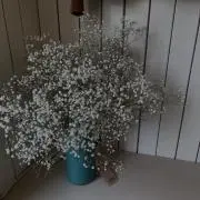 みんの画像