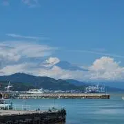 Moruの画像