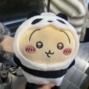 きつねの画像