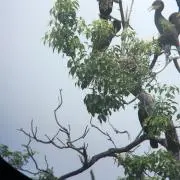 須賀　昌人