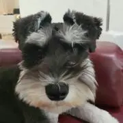 こう