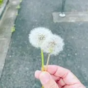 フォロー割　松⭐︎の画像