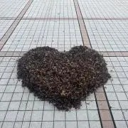 はるのたんぽぽ
