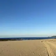 たーの画像