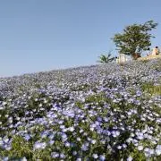 あきぽんの画像