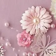 Maiの画像