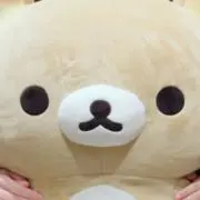 ちーの画像