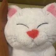 めろめいの画像