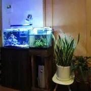 ちー
