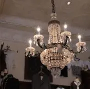 Lynnの画像
