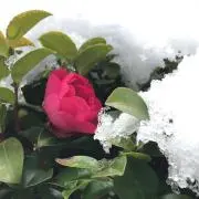 ゆるり⭐︎