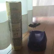 artistの画像