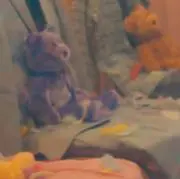 いわ