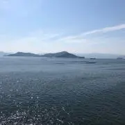 はな(*´`)の画像