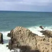 くま