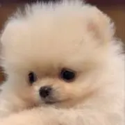 ともこ　プロフ必読の画像