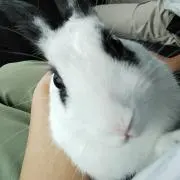 棟梁