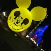mickeyプロフ確認してくださいの画像