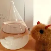 くりりん