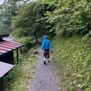 味噌煮の画像