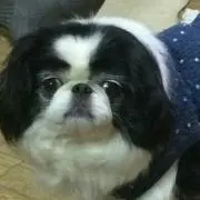 あぷちゃママの画像