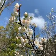 おっとの画像