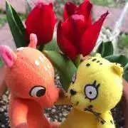 あられの画像