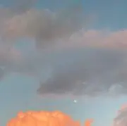 たそがれの画像